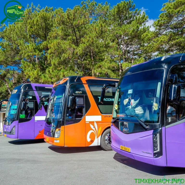 Nhà xe Nguyễn Kim Limousine