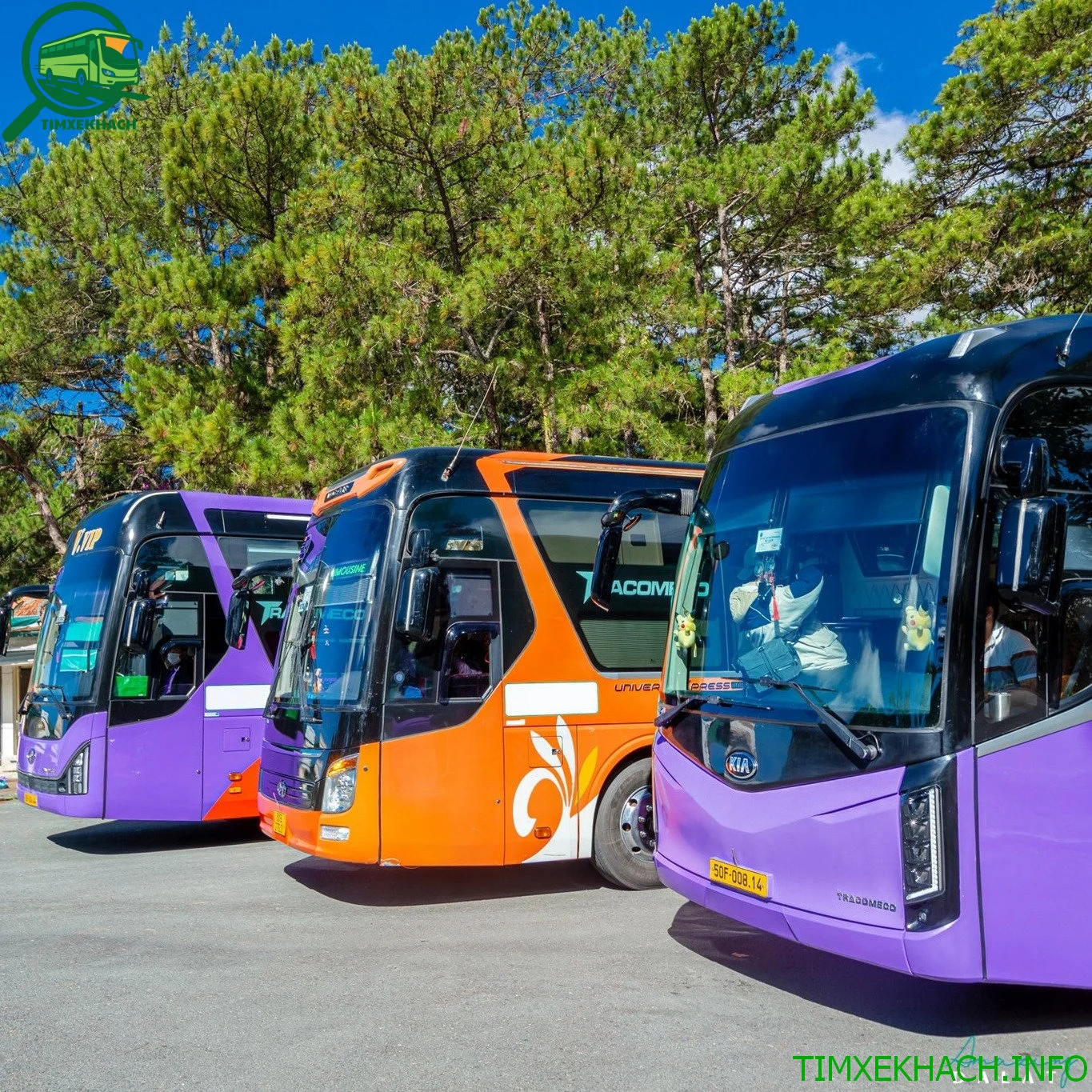 Nhà xe Nguyễn Kim Limousine