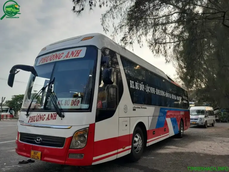 Nhà xe Phương Anh